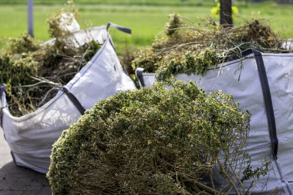Cost of Shrubs Removal in Midland