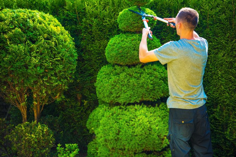 Shrub Trimming in Spring