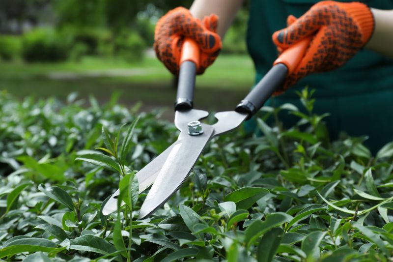 Weigela Pruning Service