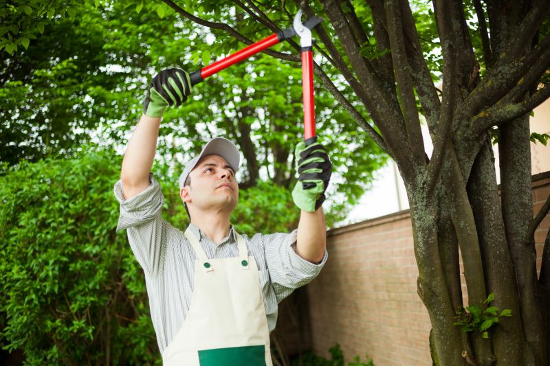 Experienced Landscape Professionals